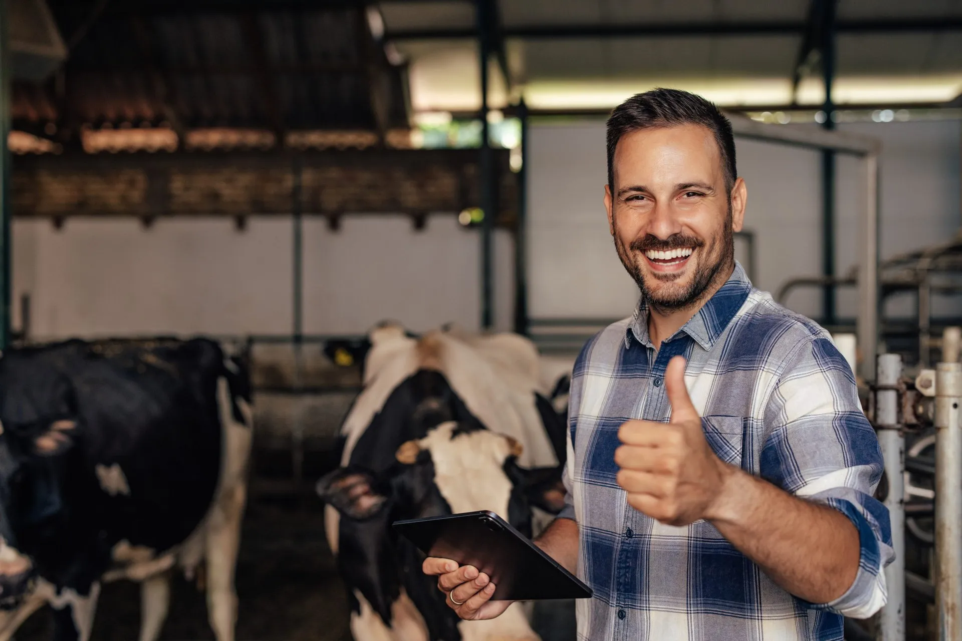 Landwirt auf seinem Betrieb bei den Kühen